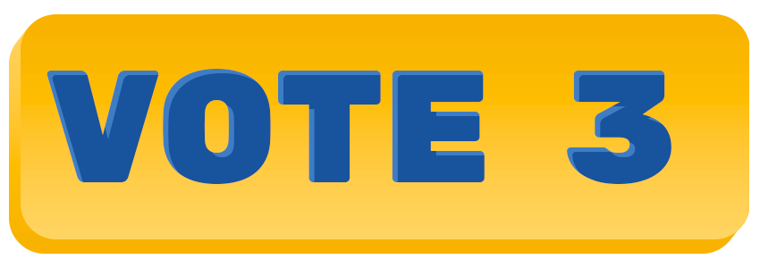 Vote 3